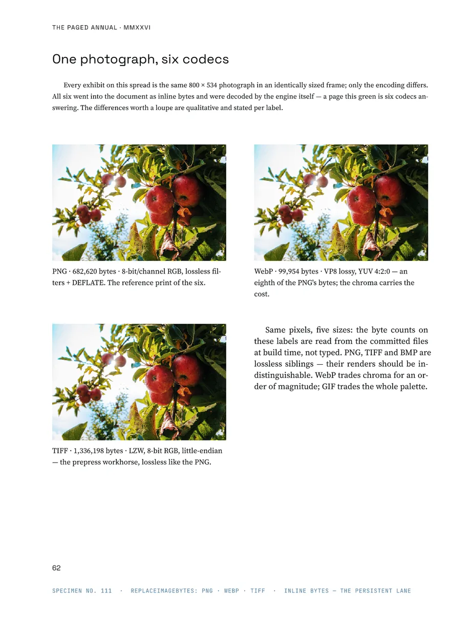 The Paged Annual — photo-codecs